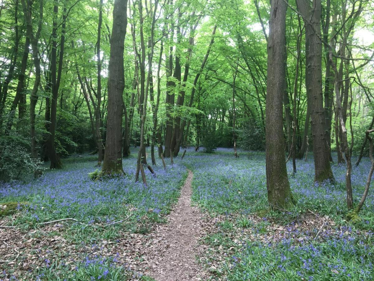 Melbury Daire Rudgwick Dış mekan fotoğraf